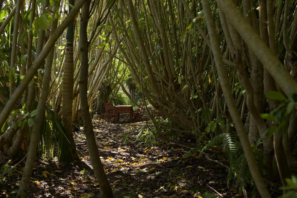 Azul Singular Horta (Azores) Exterior foto